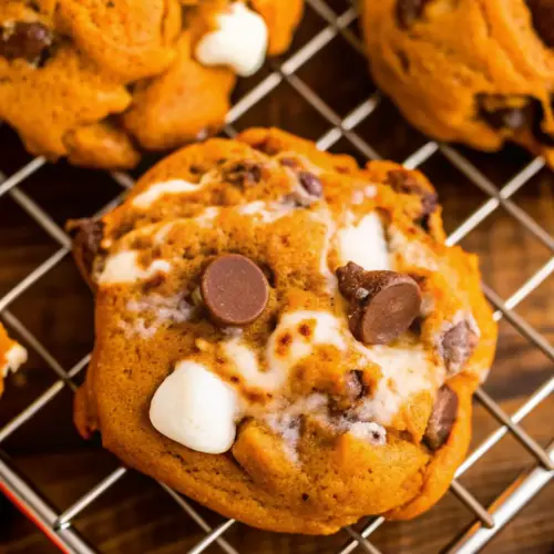 Pumpkin S’mores Cookies Pumpkin S’mores Cookies Close-up of soft pumpkin s’mores cookies with gooey marshmallows and melted chocolate chips cooling on a wire rack.