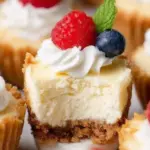 Mini Cheesecakes mini cheesecakes 2025 12 03 234045 150x150 1